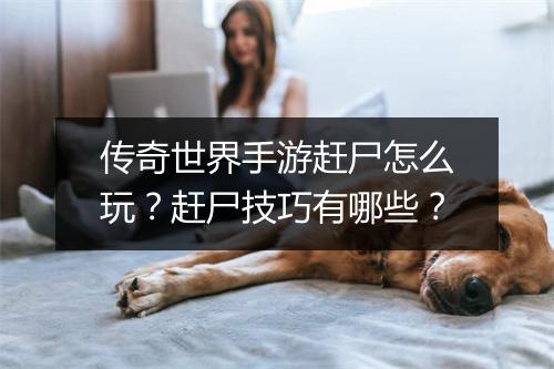 传奇世界手游赶尸怎么玩？赶尸技巧有哪些？