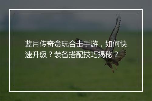 蓝月传奇贪玩合击手游，如何快速升级？装备搭配技巧揭秘？