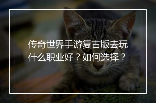 传奇世界手游复古版去玩什么职业好？如何选择？