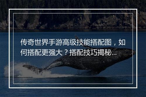 传奇世界手游高级技能搭配图，如何搭配更强大？搭配技巧揭秘！