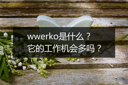 wwerko是什么？它的工作机会多吗？