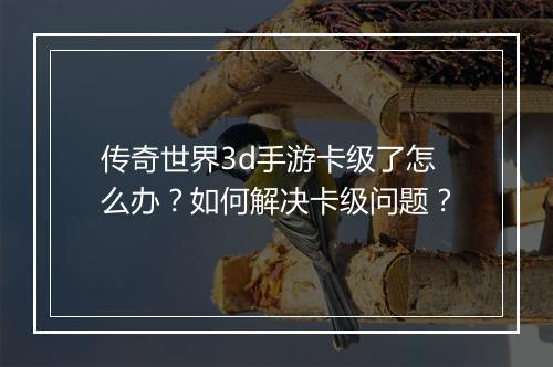 传奇世界3d手游卡级了怎么办？如何解决卡级问题？
