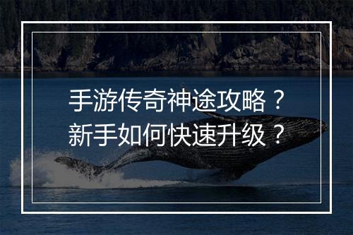 手游传奇神途攻略？新手如何快速升级？