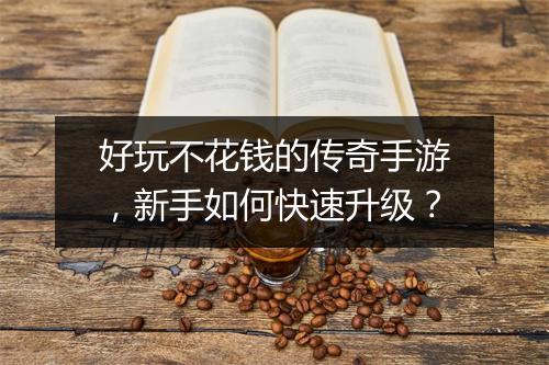 好玩不花钱的传奇手游，新手如何快速升级？