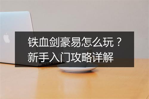 铁血剑豪易怎么玩？新手入门攻略详解