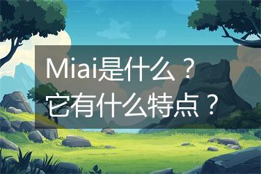 Miai是什么？它有什么特点？