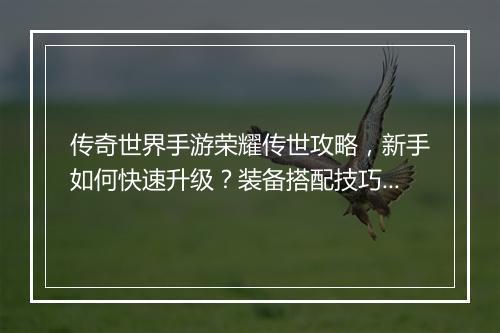 传奇世界手游荣耀传世攻略，新手如何快速升级？装备搭配技巧有哪些？