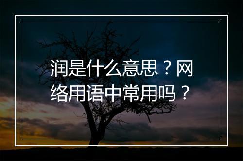 润是什么意思？网络用语中常用吗？