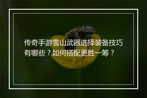 传奇手游雪山武器选择装备技巧有哪些？如何搭配更胜一筹？