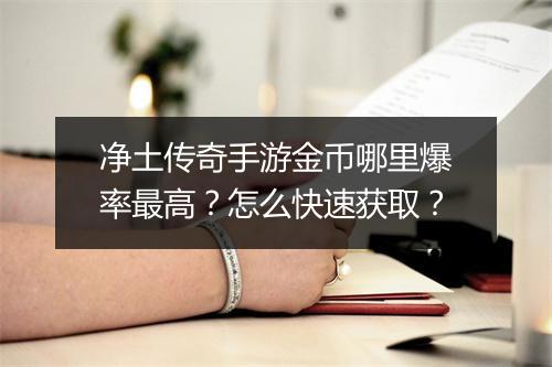 净土传奇手游金币哪里爆率最高？怎么快速获取？