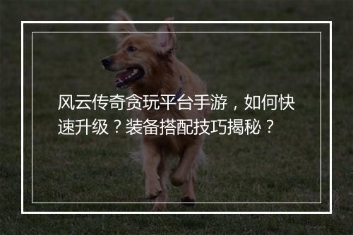 风云传奇贪玩平台手游，如何快速升级？装备搭配技巧揭秘？