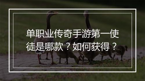 单职业传奇手游第一使徒是哪款？如何获得？