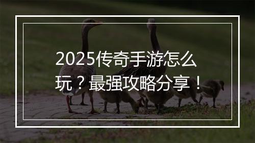 2025传奇手游怎么玩？最强攻略分享！