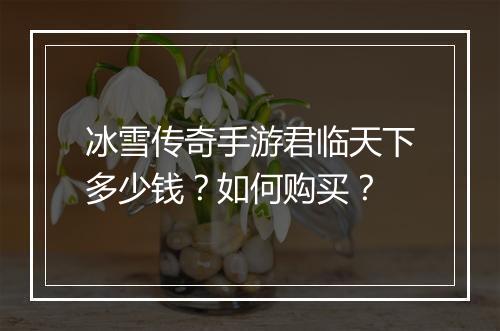 冰雪传奇手游君临天下多少钱？如何购买？