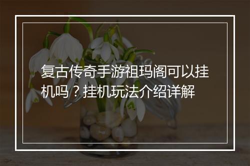 复古传奇手游祖玛阁可以挂机吗？挂机玩法介绍详解