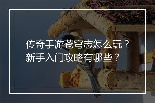 传奇手游苍穹志怎么玩？新手入门攻略有哪些？