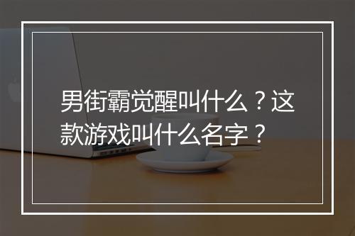 男街霸觉醒叫什么？这款游戏叫什么名字？