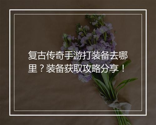 复古传奇手游打装备去哪里？装备获取攻略分享！