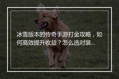 冰雪版本的传奇手游打金攻略，如何高效提升收益？怎么选对装备？