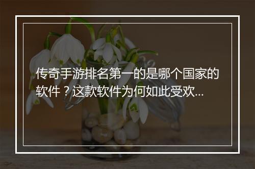 传奇手游排名第一的是哪个国家的软件?这款软件为何如此受欢迎?