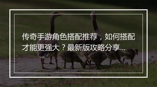 传奇手游角色搭配推荐，如何搭配才能更强大？最新版攻略分享！