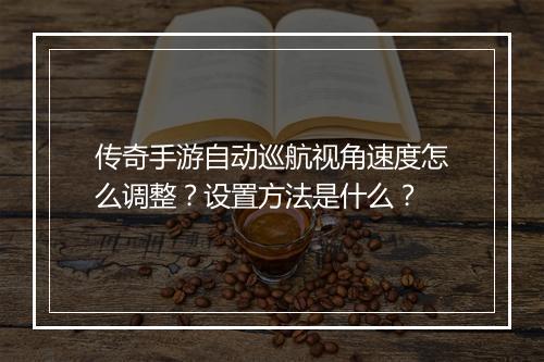 传奇手游自动巡航视角速度怎么调整？设置方法是什么？