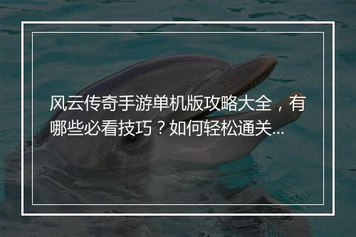 风云传奇手游单机版攻略大全，有哪些必看技巧？如何轻松通关？