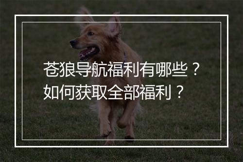 苍狼导航福利有哪些？如何获取全部福利？