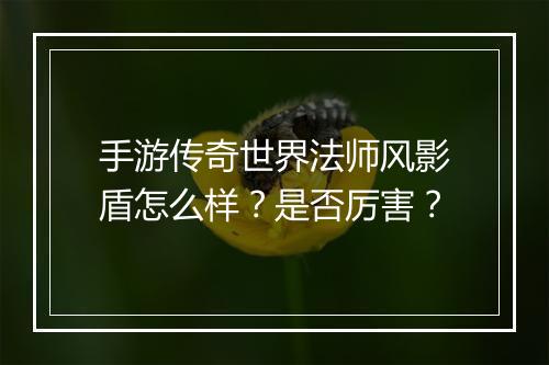 手游传奇世界法师风影盾怎么样？是否厉害？