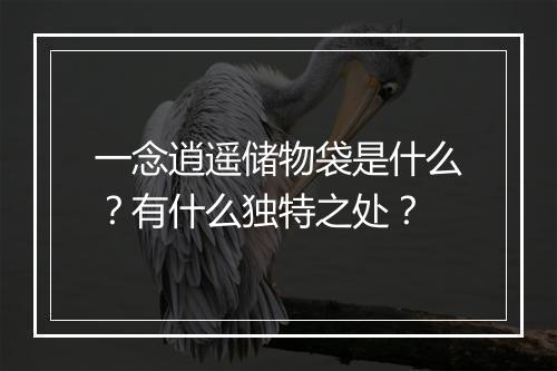一念逍遥储物袋是什么？有什么独特之处？