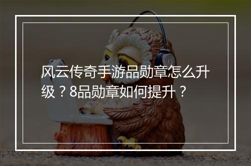 风云传奇手游品勋章怎么升级？8品勋章如何提升？