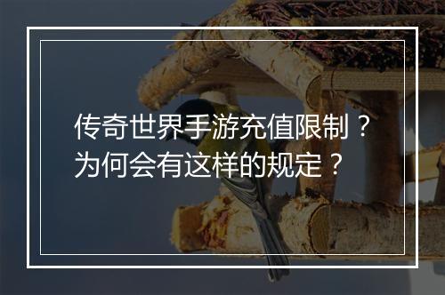 传奇世界手游充值限制？为何会有这样的规定？