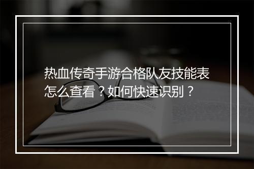 热血传奇手游合格队友技能表怎么查看？如何快速识别？