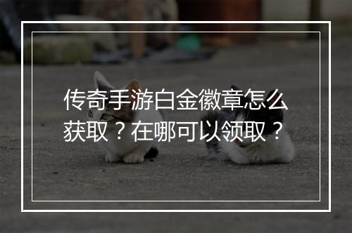 传奇手游白金徽章怎么获取？在哪可以领取？