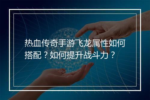 热血传奇手游飞龙属性如何搭配？如何提升战斗力？