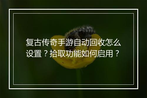 复古传奇手游自动回收怎么设置？拾取功能如何启用？