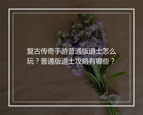 复古传奇手游普通版道士怎么玩？普通版道士攻略有哪些？