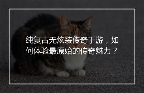 纯复古无炫装传奇手游，如何体验最原始的传奇魅力？