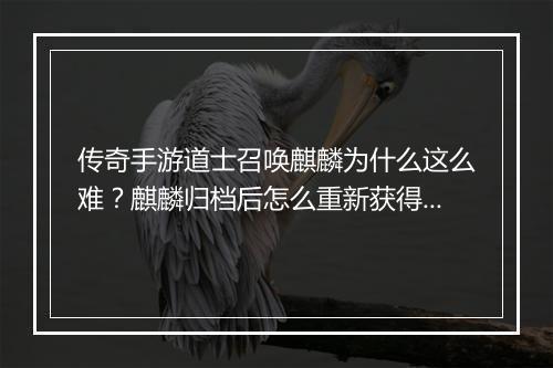 传奇手游道士召唤麒麟为什么这么难？麒麟归档后怎么重新获得？