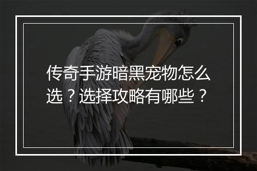 传奇手游暗黑宠物怎么选？选择攻略有哪些？