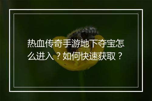 热血传奇手游地下夺宝怎么进入？如何快速获取？