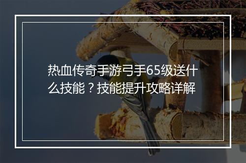 热血传奇手游弓手65级送什么技能？技能提升攻略详解