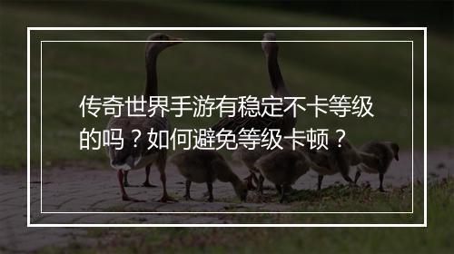 传奇世界手游有稳定不卡等级的吗？如何避免等级卡顿？