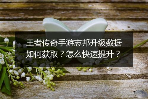 王者传奇手游志邦升级数据如何获取？怎么快速提升？