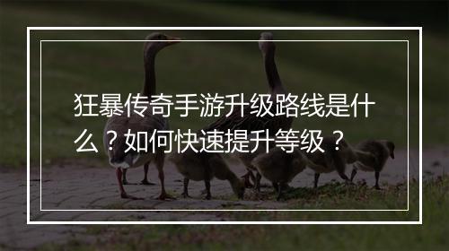 狂暴传奇手游升级路线是什么？如何快速提升等级？