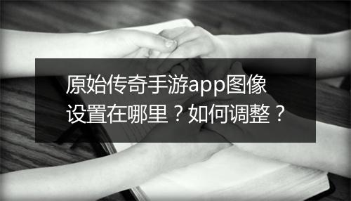 原始传奇手游app图像设置在哪里？如何调整？
