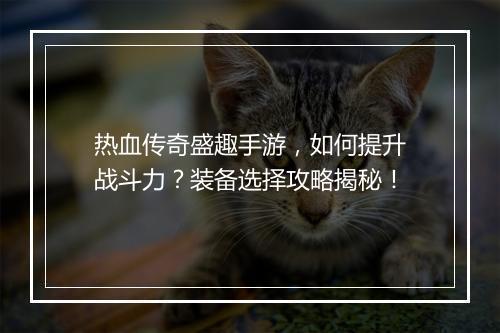 热血传奇盛趣手游，如何提升战斗力？装备选择攻略揭秘！