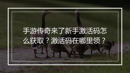 手游传奇来了新手激活码怎么获取？激活码在哪里领？