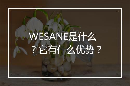 WESANE是什么？它有什么优势？