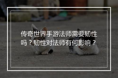 传奇世界手游法师需要韧性吗？韧性对法师有何影响？